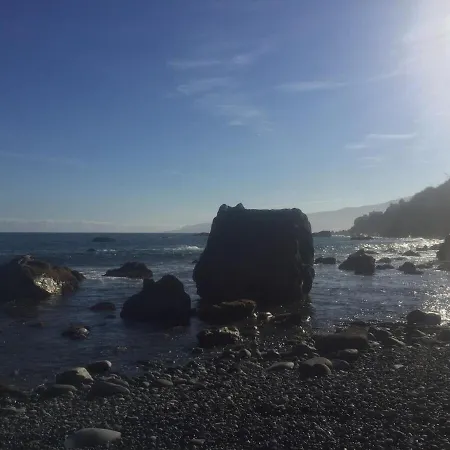 Apartamento Alenes En Flor *