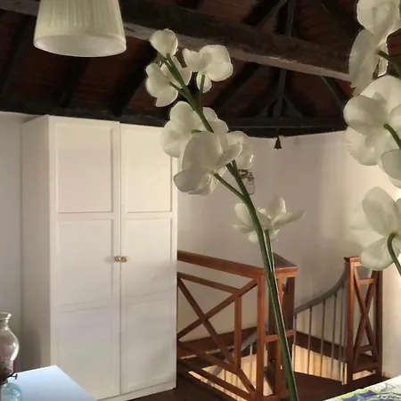 Apartment Alenes En Flor Las Aguas