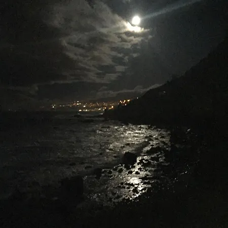 Alenes En Flor * Las Aguas