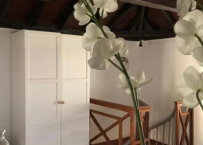 Apartment Alenes En Flor Las Aguas